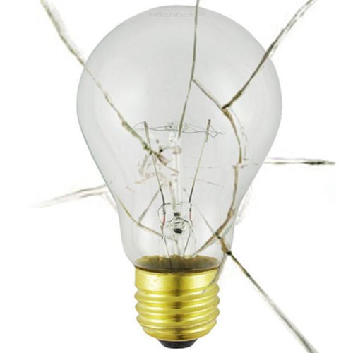 100ARS Shatter Resistant Bulb