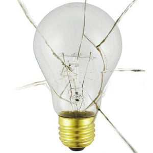 100ARS Shatter Resistant Bulb